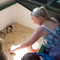 Photo of young SRSB client on summer trip to farm park