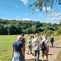 Photo of some walkers on a path in a field with trees to the left and blue sky above