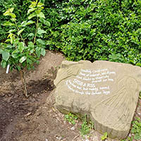 SRSB Sensory Garden Meditation