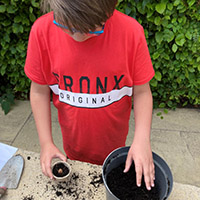 Photo of a young boy planting seeds from a previous activity pack
