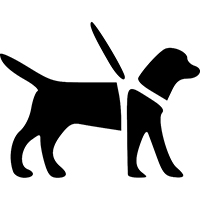 Graphic illustration of a guide dog in a harness