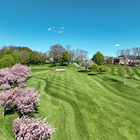 Photo of golf course with cherry trees lining the edge of the photo